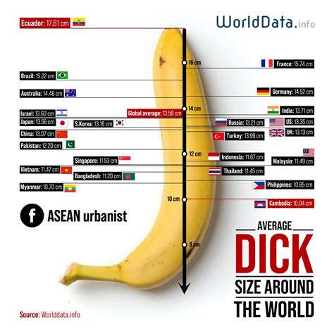 tamaños de penes fotos|International penis sizes compared